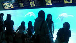 No.67̎ʐ^