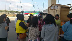 No.46̎ʐ^