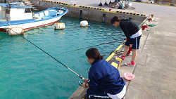 No.52̎ʐ^