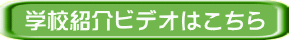 wZЉrfI͂ 