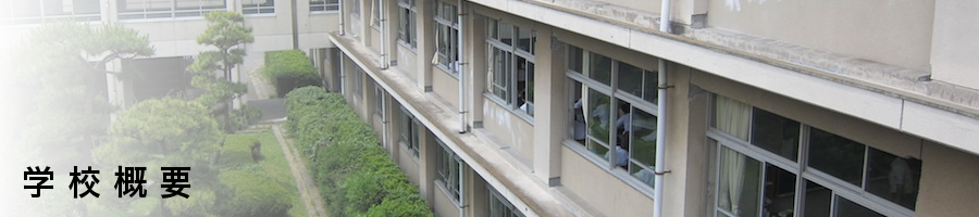 学校概要
