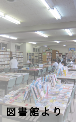 図書館より