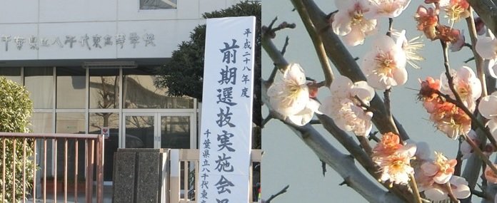 入学者選抜