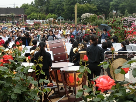 吹奏楽部 ローズガーデン学生コンサート In 京成バラ園 千葉県立八千代東高等学校