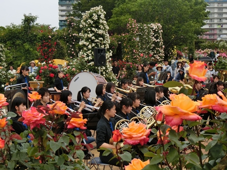 吹奏楽部 ローズガーデン学生コンサート In 京成バラ園 千葉県立八千代東高等学校