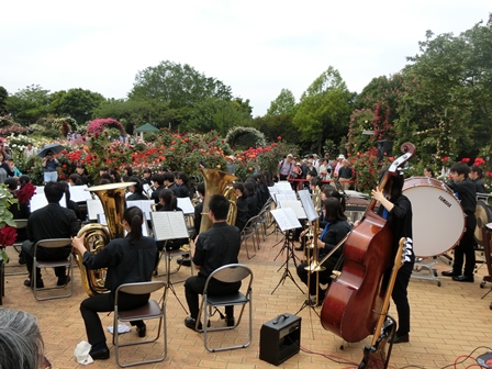 ローズガーデン学生コンサート in 京成バラ園の様子