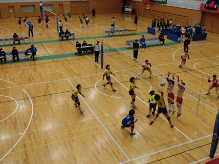平成２８年度新人戦県大会の様子