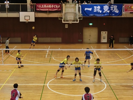 平成29年度  関東大会県予選会地区予選の様子