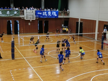 平成29年度関東大会千葉県予選会の様子