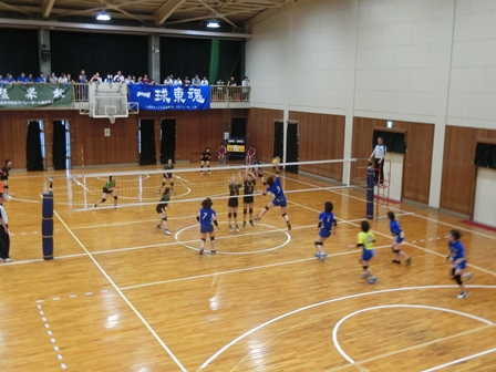 平成29年度関東大会千葉県予選会の様子