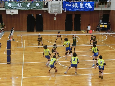 平成29年度関東大会千葉県予選会の様子