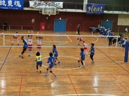 平成２９年度新人大会地区予選の様子
