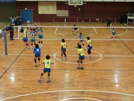 平成２９年度新人大会地区予選の様子