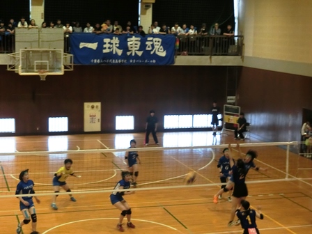 平成２９年度総合体育大会の様子