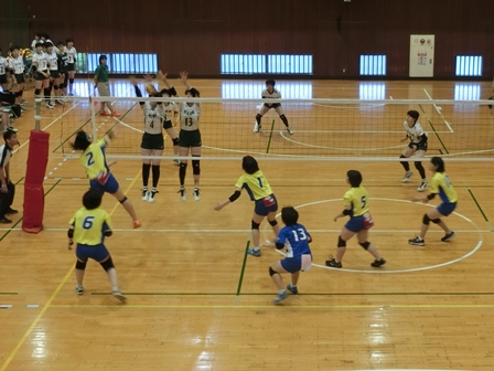 平成２９年度総合体育大会の様子