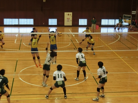 平成２９年度総合体育大会の様子