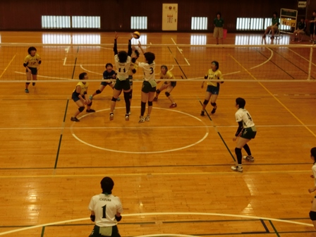 平成２９年度総合体育大会の様子