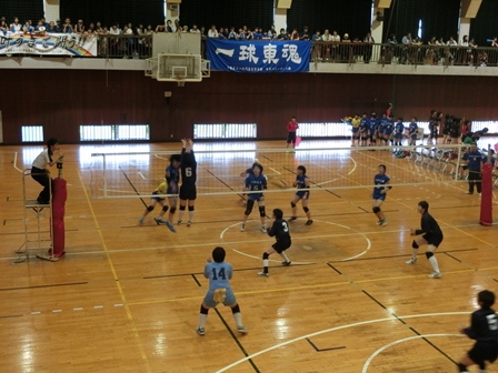 平成２９年度総合体育大会の様子