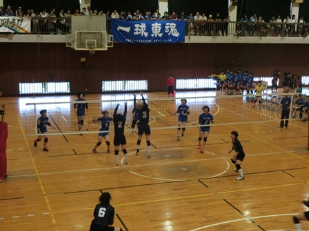 平成２９年度総合体育大会の様子