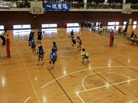 平成２９年度総合体育大会の様子