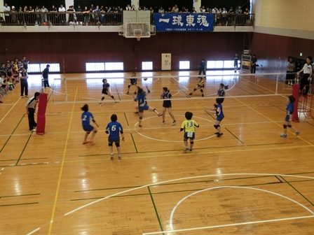 平成２９年度総合体育大会の様子