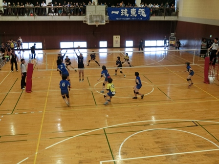 平成２９年度総合体育大会の様子
