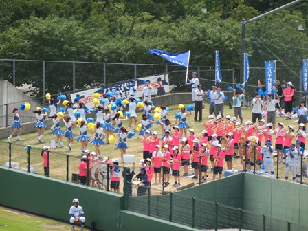 全国高等学校野球選手権千葉大会2回戦の様子