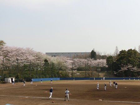野球部　練習風景