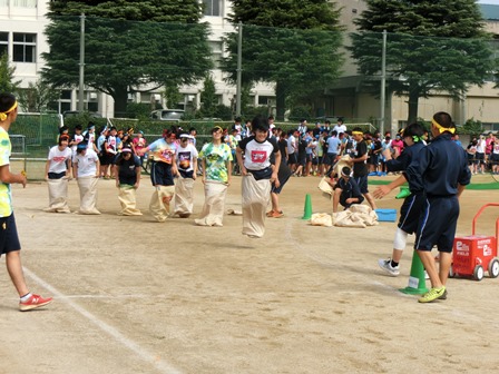 体育祭の様子2016