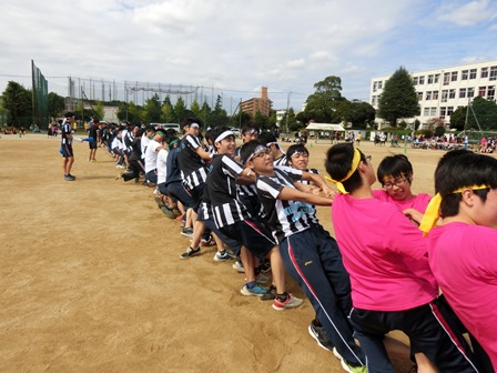 体育祭の様子2016
