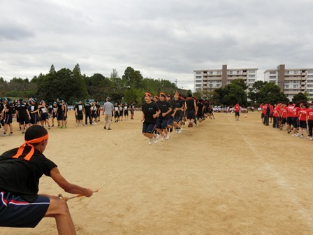 体育祭の様子2016