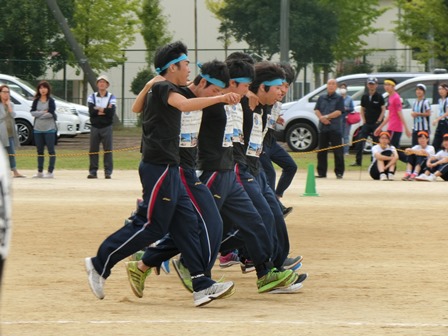 体育祭の様子2016