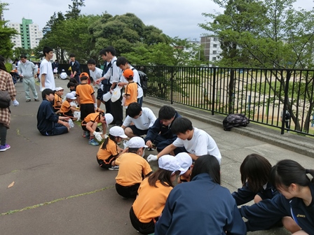 村上地区クリーン作戦2018