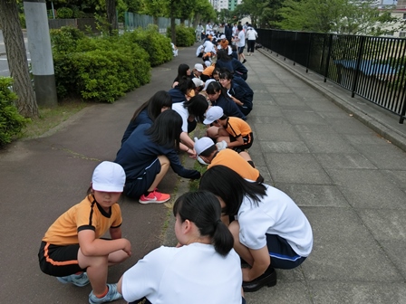 村上地区クリーン作戦2018