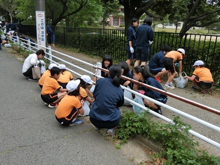村上地区クリーン作戦2018