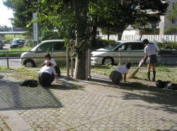 : : G:\HP\photo\boran03.jpg