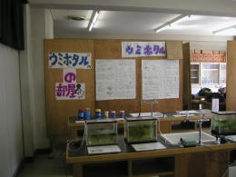 : F:\HP\photo\bunka02.jpg